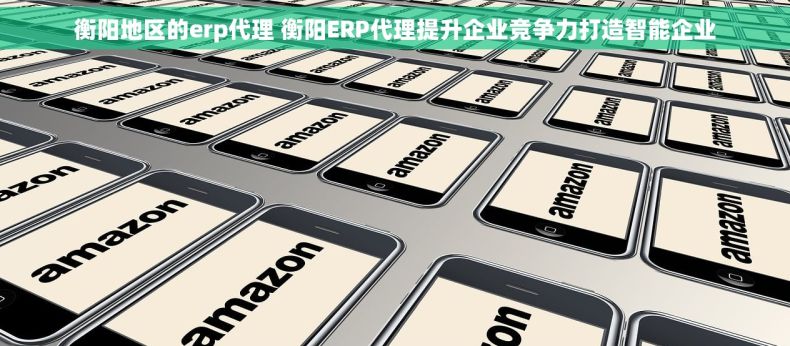 衡阳地区的erp代理 衡阳ERP代理提升企业竞争力打造智能企业