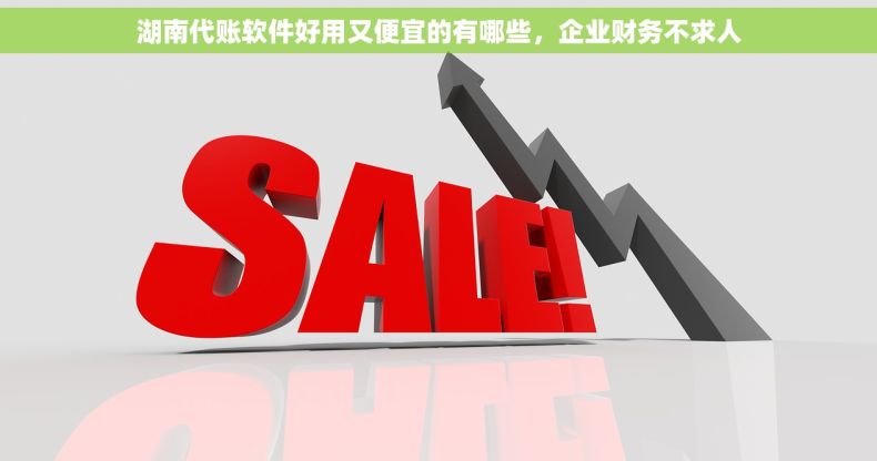 湖南代账软件好用又便宜的有哪些，企业财务不求人
