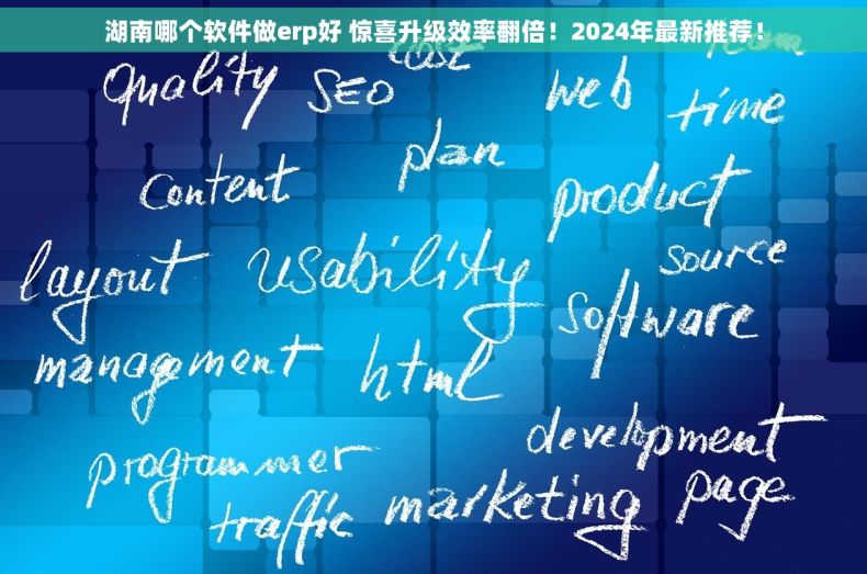湖南哪个软件做erp好 惊喜升级效率翻倍！2024年最新推荐！