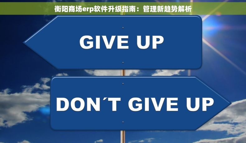 衡阳商场erp软件升级指南：管理新趋势解析