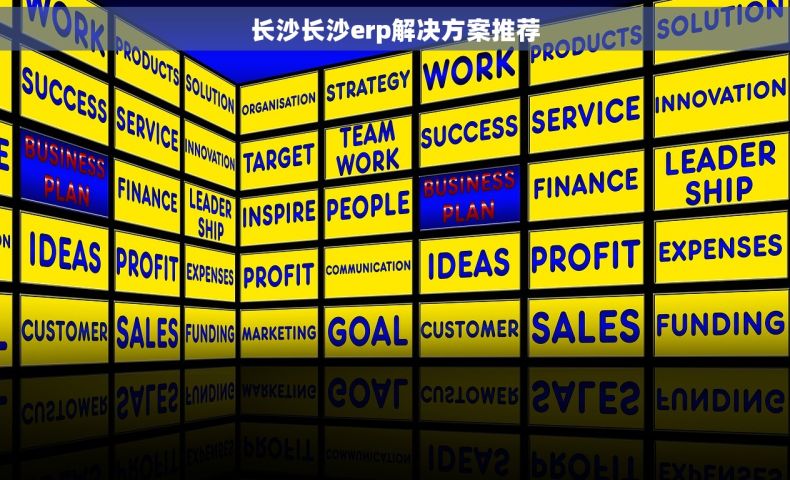 长沙长沙erp解决方案推荐