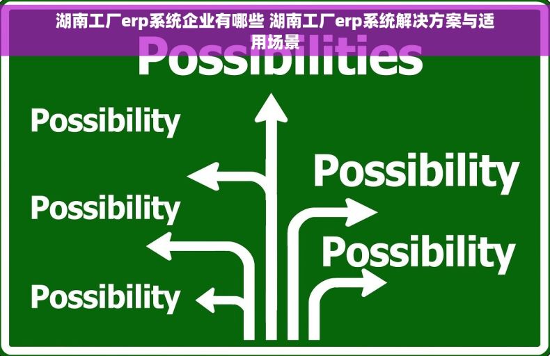 湖南工厂erp系统企业有哪些 湖南工厂erp系统解决方案与适用场景