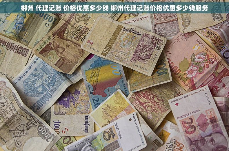 郴州 代理记账 价格优惠多少钱 郴州代理记账价格优惠多少钱服务