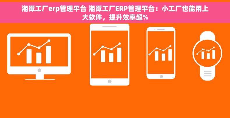 湘潭工厂erp管理平台 湘潭工厂ERP管理平台：小工厂也能用上大软件，提升效率超%