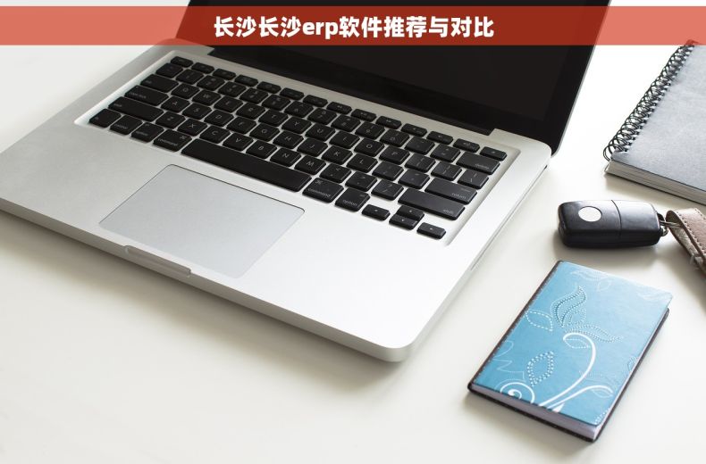长沙长沙erp软件推荐与对比