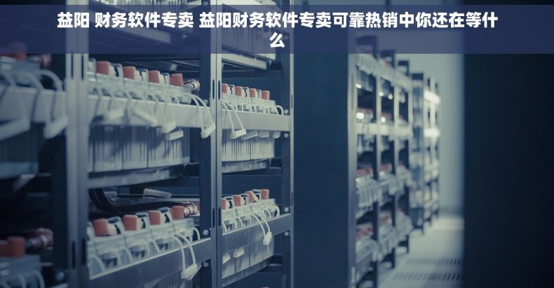 益阳 财务软件专卖 益阳财务软件专卖可靠热销中你还在等什么
