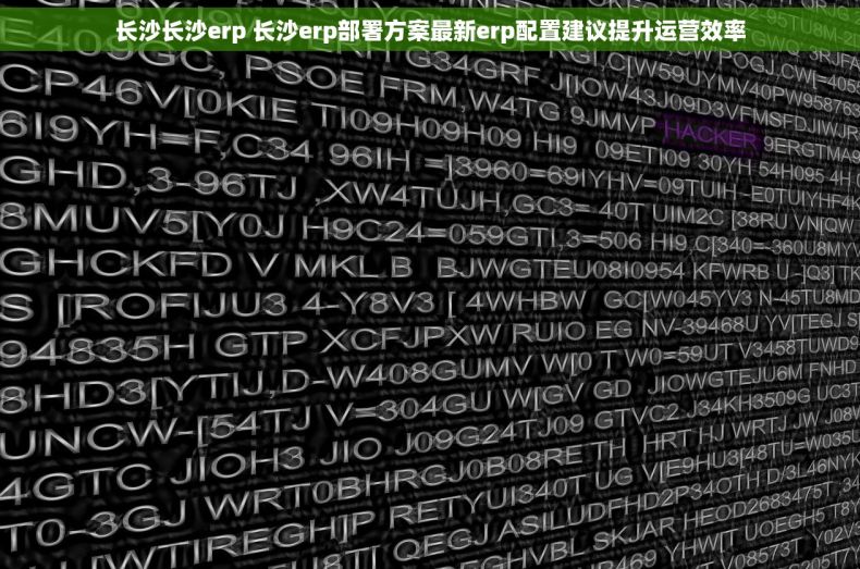 长沙长沙erp 长沙erp部署方案最新erp配置建议提升运营效率