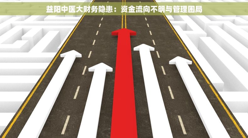 益阳中医大财务隐患：资金流向不明与管理困局