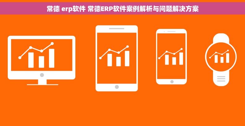 常德 erp软件 常德ERP软件案例解析与问题解决方案