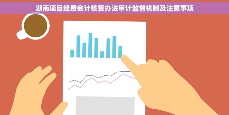 湖南项目经费会计核算办法审计监督机制及注意事项