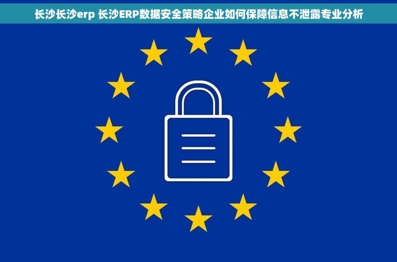 长沙长沙erp 长沙ERP数据安全策略企业如何保障信息不泄露专业分析