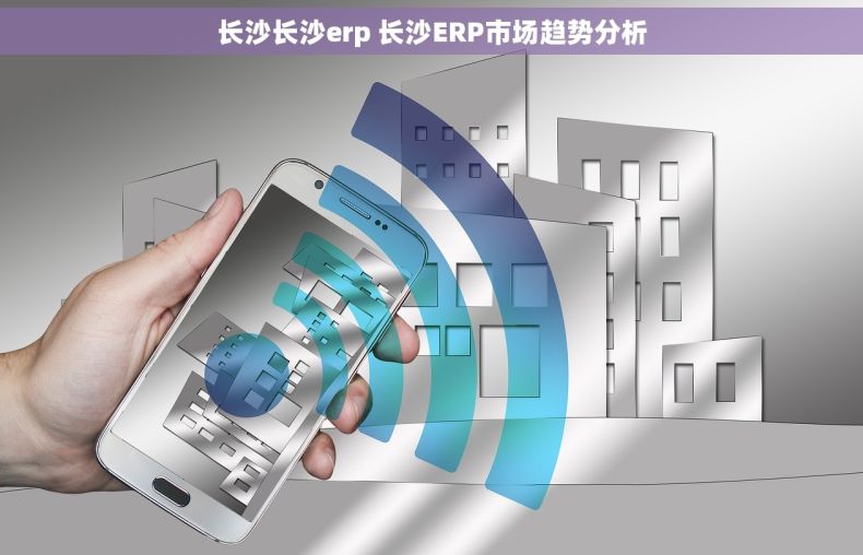 长沙长沙erp 长沙ERP市场趋势分析