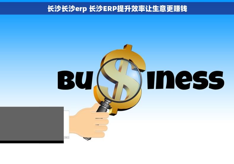 长沙长沙erp 长沙ERP提升效率让生意更赚钱