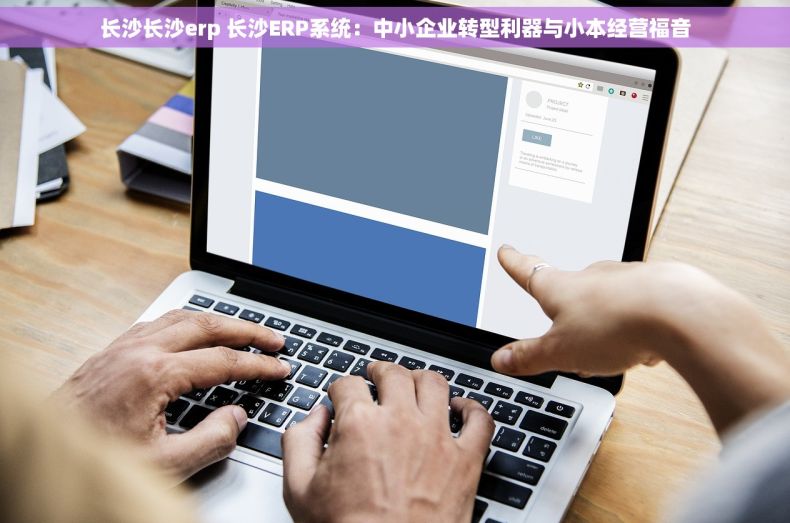 长沙长沙erp 长沙ERP系统：中小企业转型利器与小本经营福音