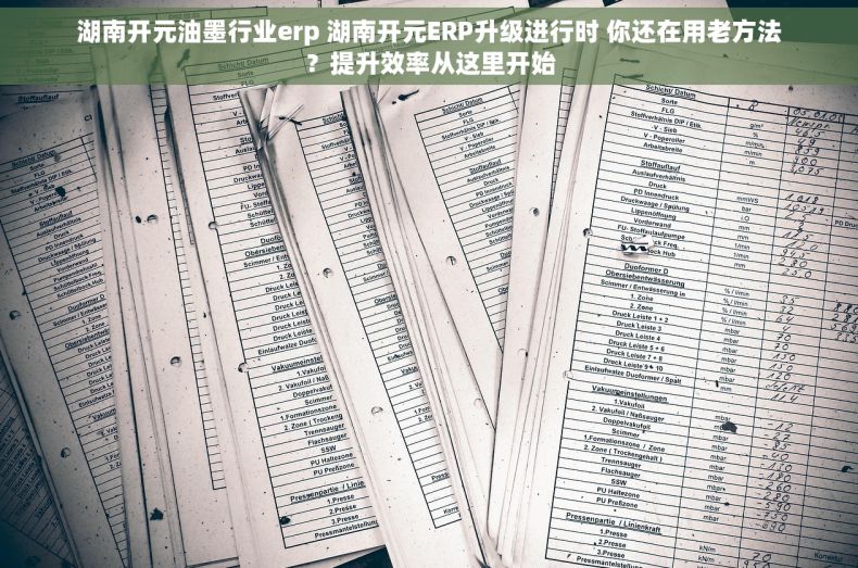 湖南开元油墨行业erp 湖南开元ERP升级进行时 你还在用老方法？提升效率从这里开始
