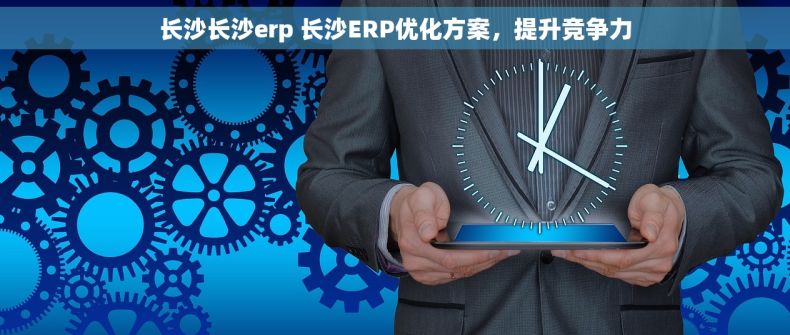 长沙长沙erp 长沙ERP优化方案，提升竞争力