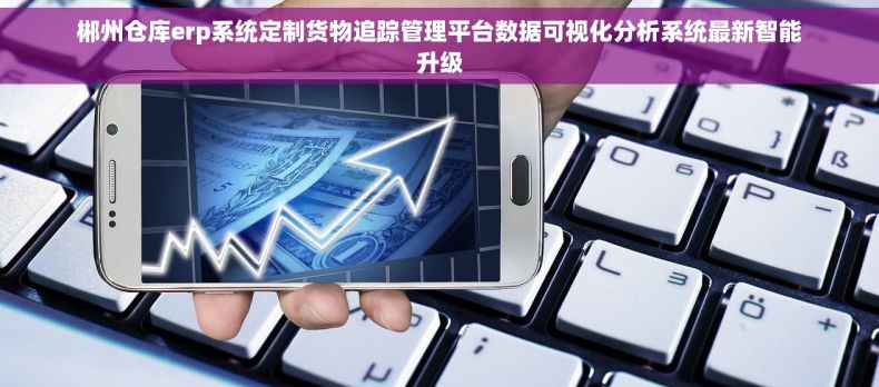 郴州仓库erp系统定制货物追踪管理平台数据可视化分析系统最新智能升级