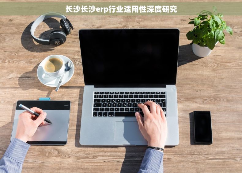 长沙长沙erp行业适用性深度研究