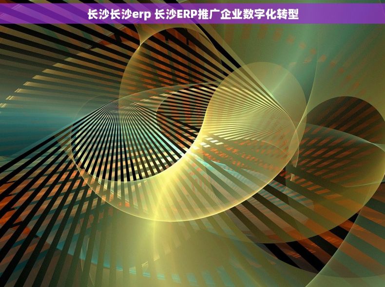 长沙长沙erp 长沙ERP推广企业数字化转型