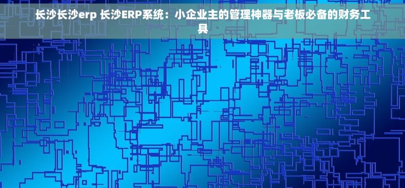 长沙长沙erp 长沙ERP系统：小企业主的管理神器与老板必备的财务工具