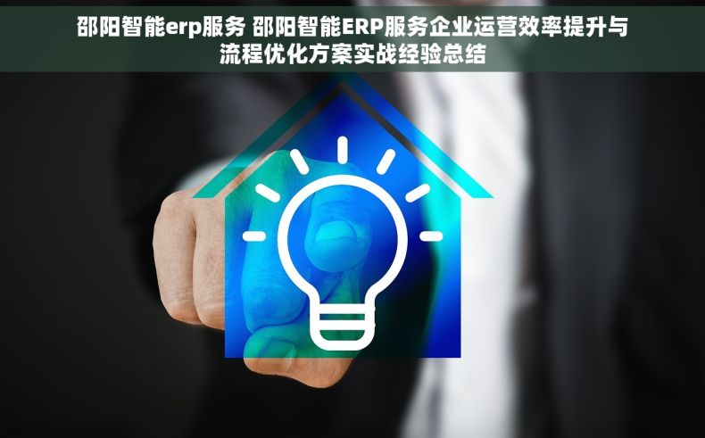 邵阳智能erp服务 邵阳智能ERP服务企业运营效率提升与流程优化方案实战经验总结