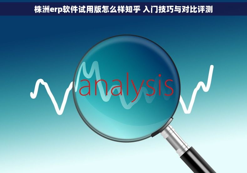 株洲erp软件试用版怎么样知乎 入门技巧与对比评测