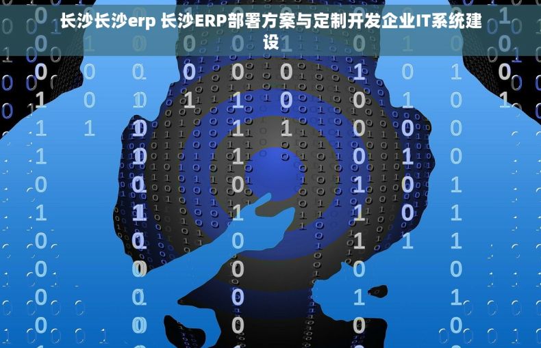 长沙长沙erp 长沙ERP部署方案与定制开发企业IT系统建设