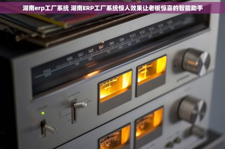 湖南erp工厂系统 湖南ERP工厂系统惊人效果让老板惊喜的智能助手
