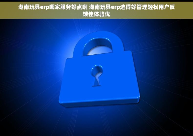 湖南玩具erp哪家服务好点啊 湖南玩具erp选得好管理轻松用户反馈佳体验优