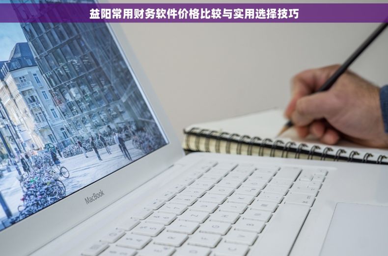 益阳常用财务软件价格比较与实用选择技巧