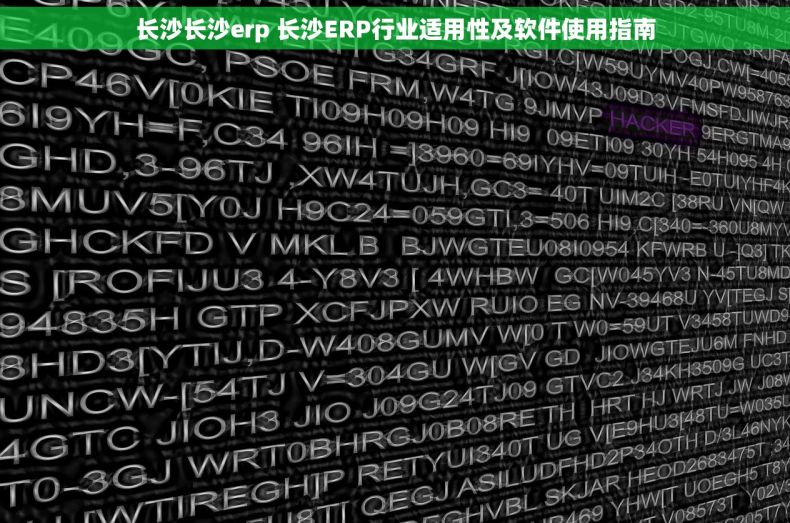 长沙长沙erp 长沙ERP行业适用性及软件使用指南