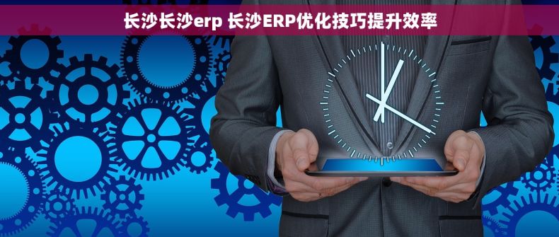 长沙长沙erp 长沙ERP优化技巧提升效率