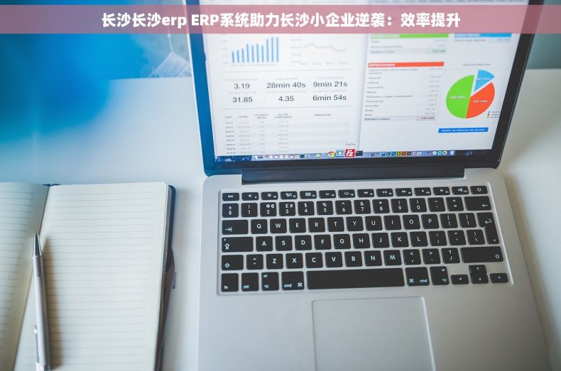 长沙长沙erp ERP系统助力长沙小企业逆袭：效率提升