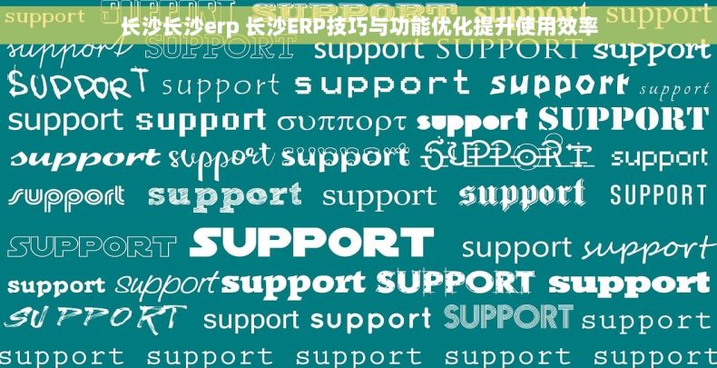长沙长沙erp 长沙ERP技巧与功能优化提升使用效率