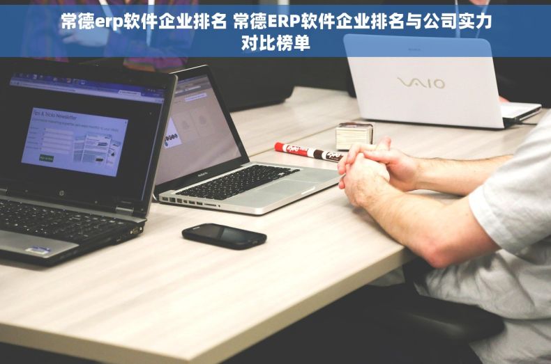 常德erp软件企业排名 常德ERP软件企业排名与公司实力对比榜单