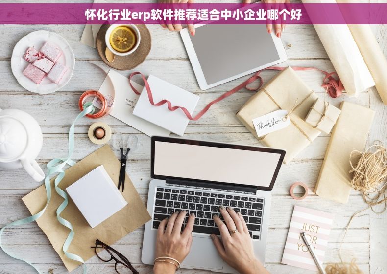 怀化行业erp软件推荐适合中小企业哪个好