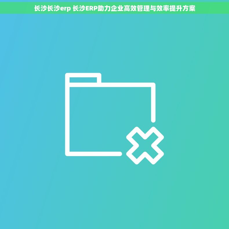 长沙长沙erp 长沙ERP助力企业高效管理与效率提升方案