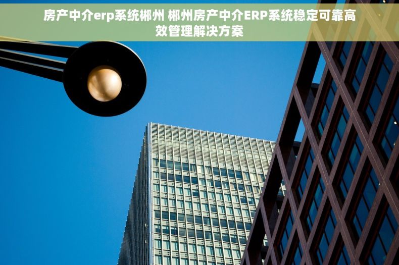 房产中介erp系统郴州 郴州房产中介ERP系统稳定可靠高效管理解决方案