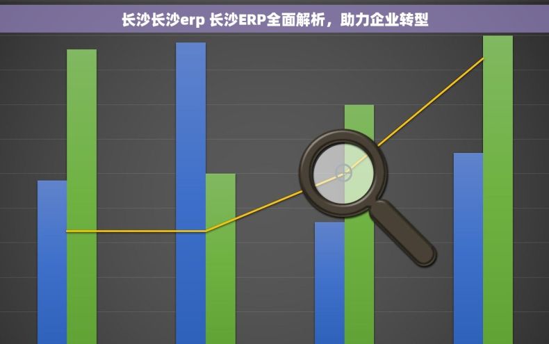 长沙长沙erp 长沙ERP全面解析，助力企业转型