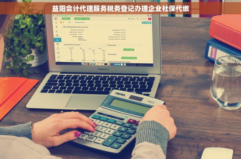 益阳会计代理服务税务登记办理企业社保代缴