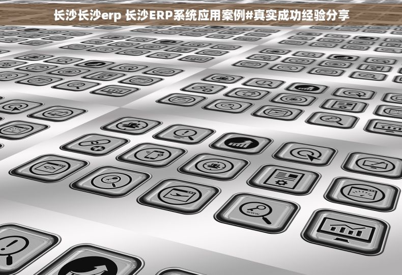 长沙长沙erp 长沙ERP系统应用案例#真实成功经验分享