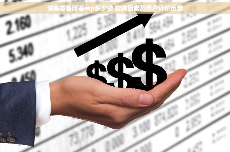 湖南零售服装erp多少钱 影响因素及用户评价反馈