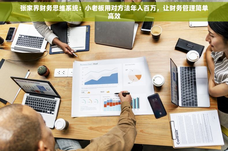 张家界财务思维系统：小老板用对方法年入百万，让财务管理简单高效