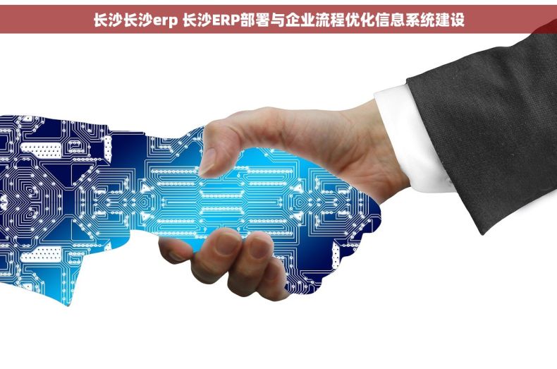 长沙长沙erp 长沙ERP部署与企业流程优化信息系统建设