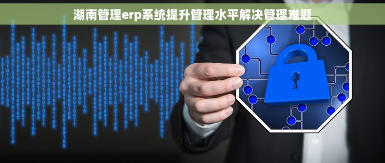 湖南管理erp系统提升管理水平解决管理难题