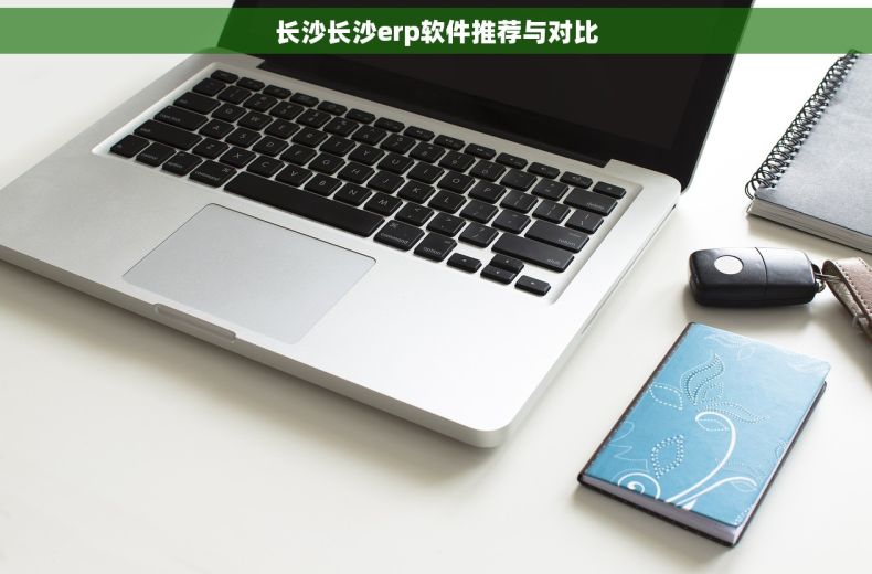长沙长沙erp软件推荐与对比