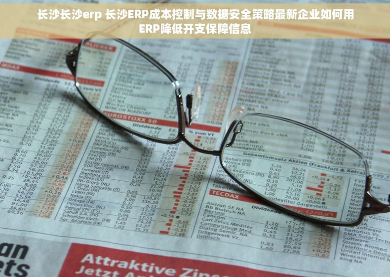 长沙长沙erp 长沙ERP成本控制与数据安全策略最新企业如何用ERP降低开支保障信息