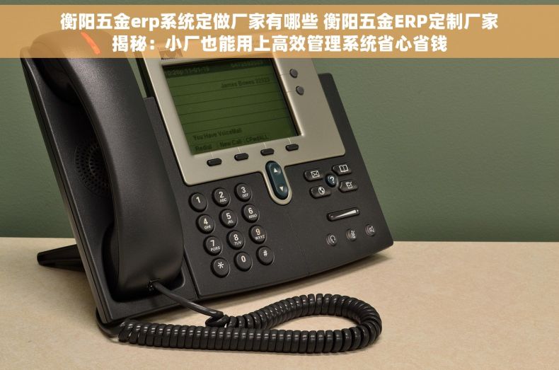 衡阳五金erp系统定做厂家有哪些 衡阳五金ERP定制厂家揭秘：小厂也能用上高效管理系统省心省钱