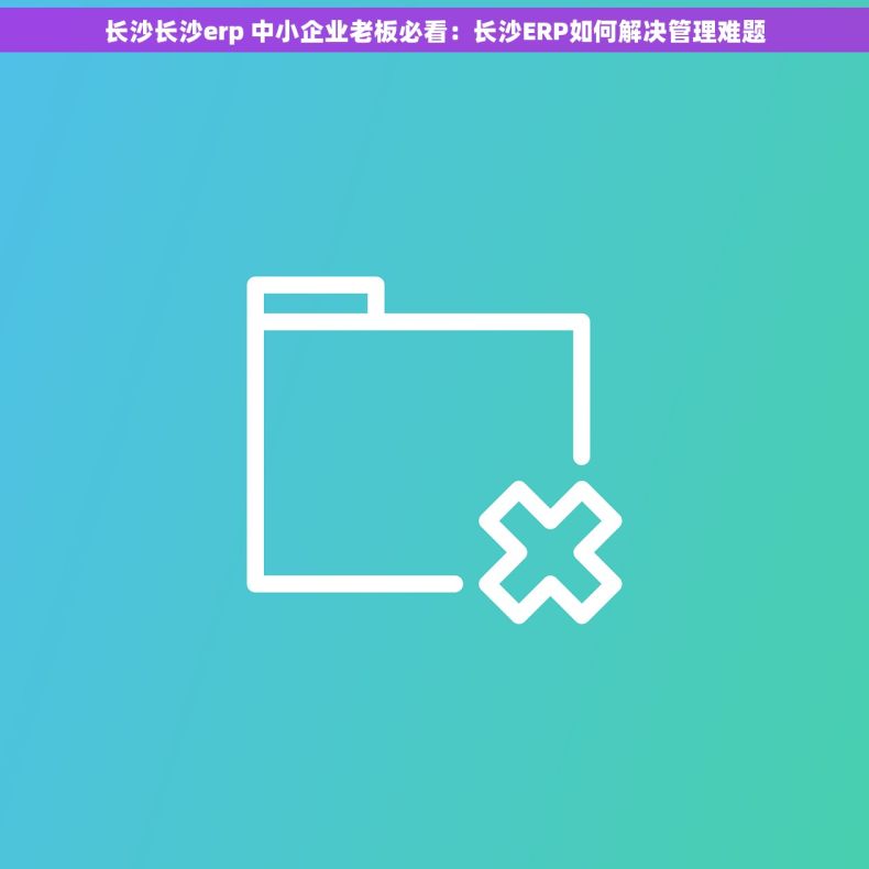 长沙长沙erp 中小企业老板必看：长沙ERP如何解决管理难题