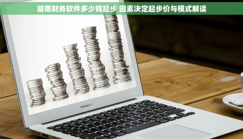 湖南财务软件多少钱起步 因素决定起步价与模式解读